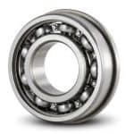 F 6006 bearings