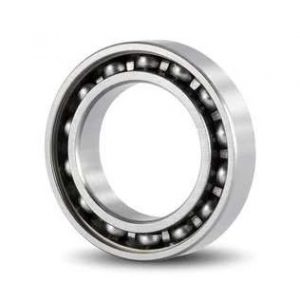 Tfl stainless steel deep groove ball bearing ss 6800 open ss 61800 open dry 10x19x5 mm