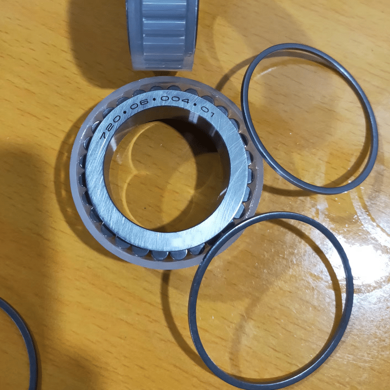 F219513 F219510 CPM2503 Full Complement Cylindrical Roller Bearing