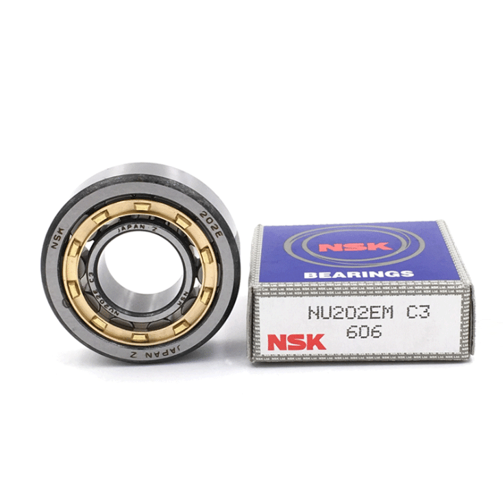 N236 N236EM Single Row Brass Cage Cylindrical Roller Bearing
