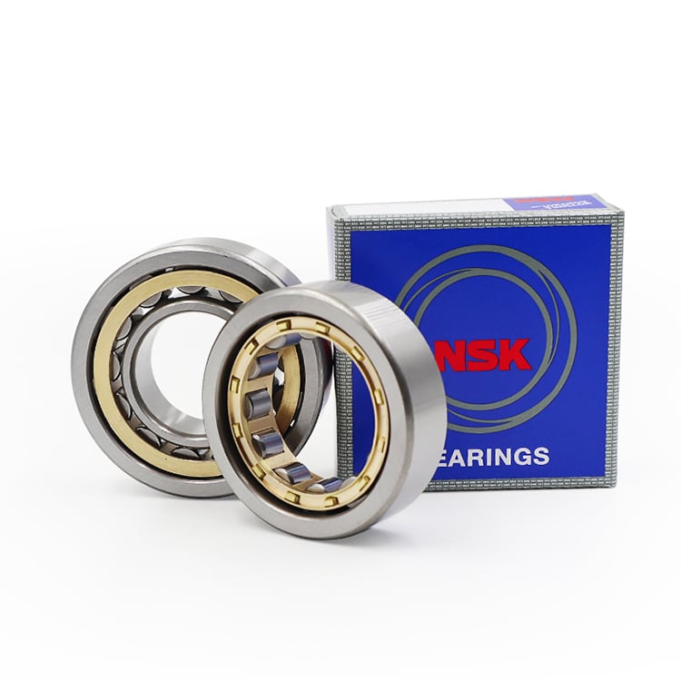 Japan NSK bearing cylindrical roller bearings NJ2207