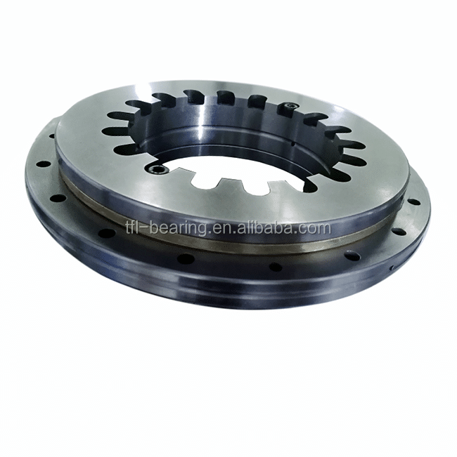 High Precision Rotary Table Bearing YRT100 Axial/Radial Bearings