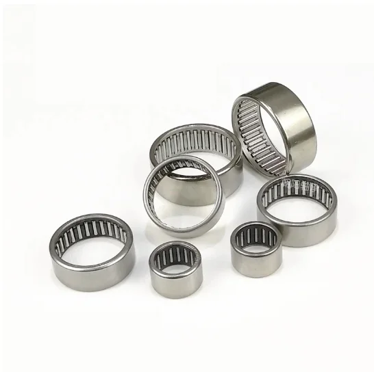 TFL Factory Price High Precision Low Noise HK1614 Needle Roller Bearing Chrome Steel HK1614 HK Series