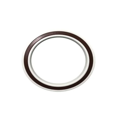 61700 61800 61900 62300 63000 63800 ZrO2 Full Ceramic Deep Groove Ball Bearing With Fluorine Rubber Seal