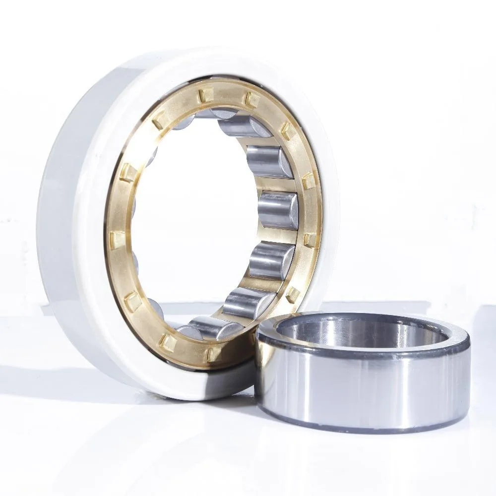 Electrically insulated cylindrical roller bearings NU1019 NU1016EM1F1J20B C4 for motors