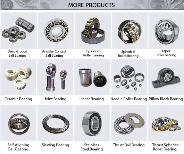NUP307ENV vro 1307519 Cylindrical roller bearing supplier VRO1307519 size 30*75*19 Full Complement