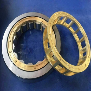 Cylindrical roller bearings NJ221E.TVP2 with high quality