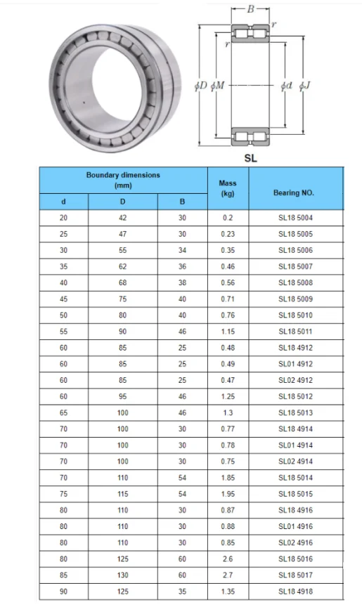 NUP307ENV vro 1307519 Cylindrical roller bearing supplier VRO1307519 size 30*75*19 Full Complement
