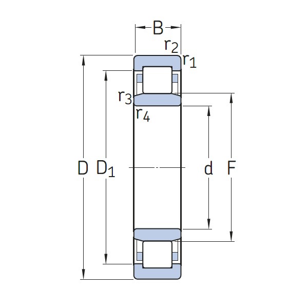 Tfl cylindrical roller insulated bearing structure illustration