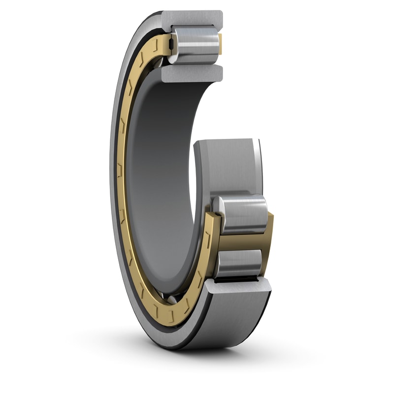 Tfl cylindrical roller insulated bearing structure illustration