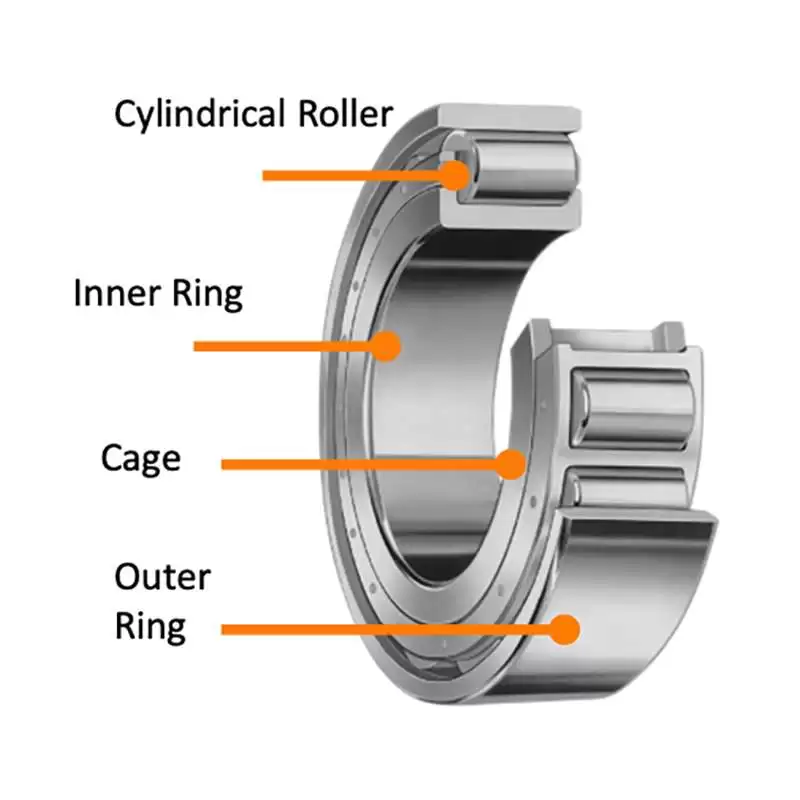 Cylindrical roller bearings use cylindrical-shaped rollers instead of balls.