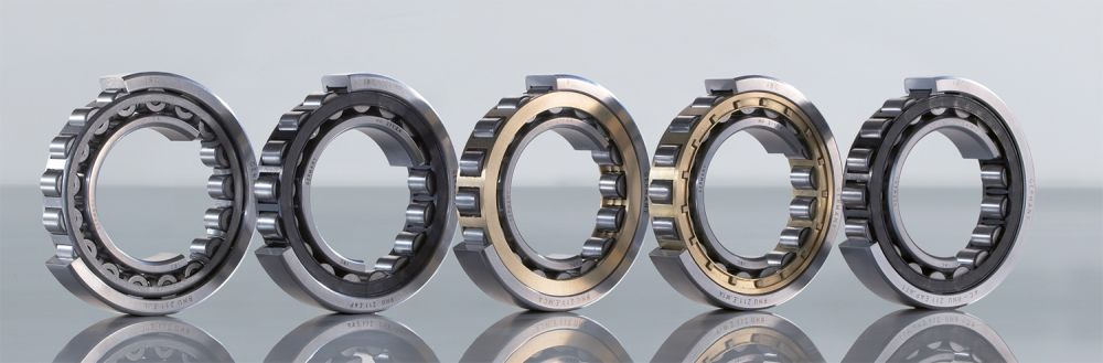 Various cylindrical roller bearing configurations.