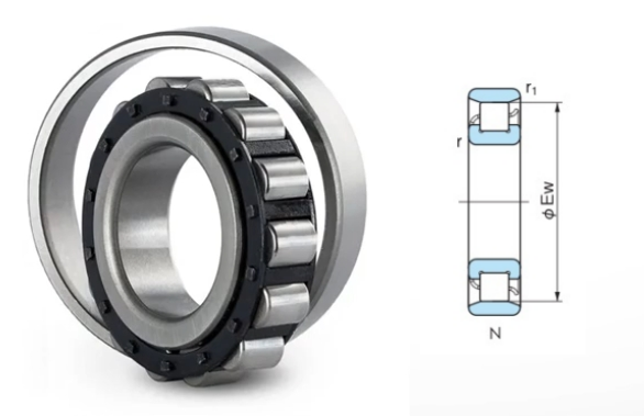 An image of a single row cylindrical roller bearing (n type)