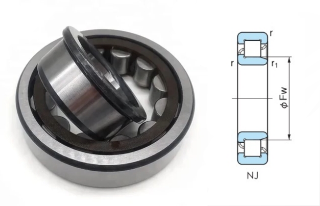 An image of a single row cylindrical roller bearing with two flanges (nj type)