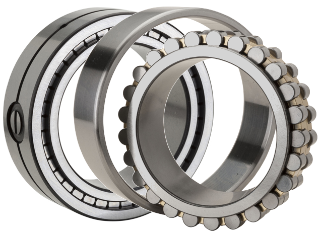 An image shows double-row cylindrical roller bearings.